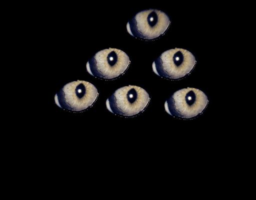 count